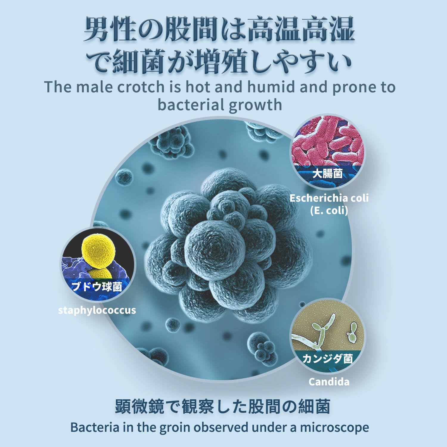 Amazon | デリケート ゾーン ボディ ソープ メンズ 、バーベナ